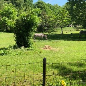 Meet your Posher, Najat